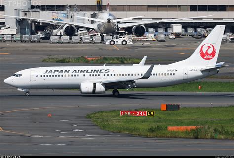 Ja J Boeing Japan Airlines Jal Ikari Jetphotos