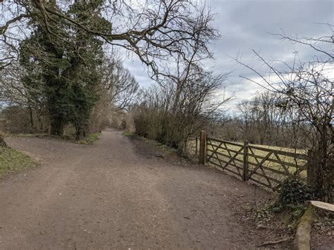 Reigate Hill, Colley Hill & Walton Oaks - 11.5km - Surrey Walks