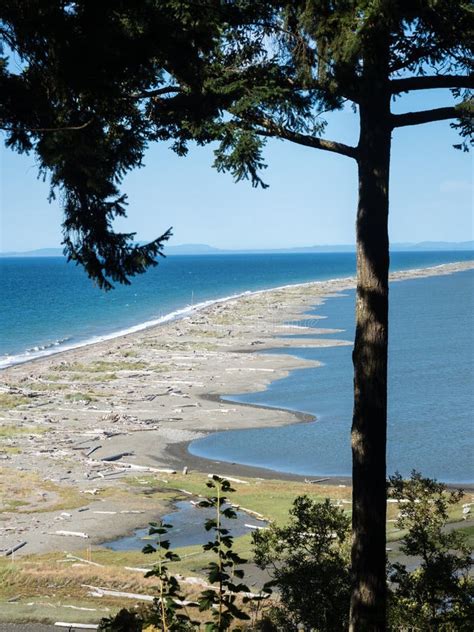 Dungeness Spit And National Wildlife Refuge Sequim Washington Stock