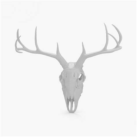 Skull Deer 3d Model Turbosquid 1427337