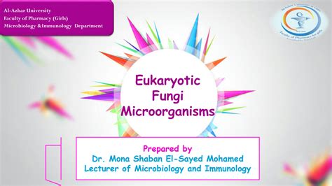 SOLUTION: Eukaryotic fungi - Studypool