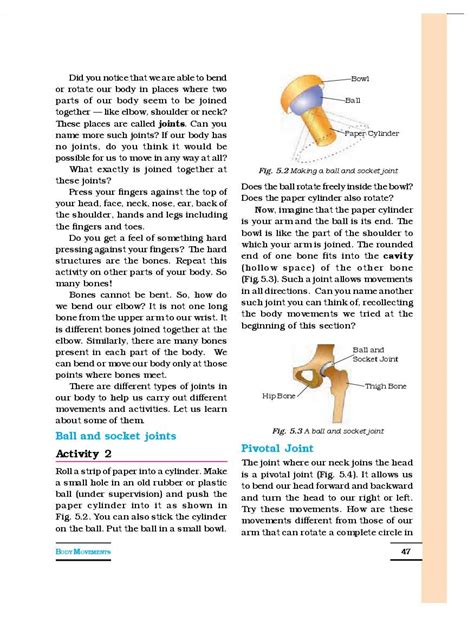 NCERT Book Class 6 Science Chapter 5 Body Movements 2024 25 Session