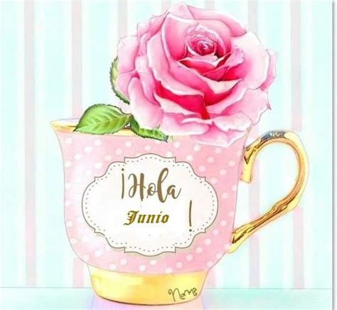 A Pink Rose In A Teacup With The Word Hello June On It S Side