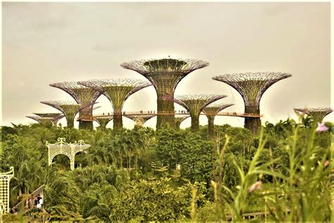 Gardens by the Bay- Singapore