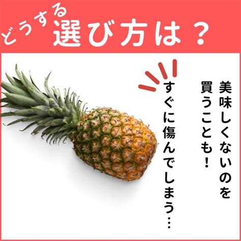 ハズレの「パイナップル」を買わない選び方！たった4つのコツ【知って得する買い物術】 ぱるとよ 食材ブログ