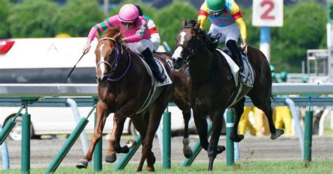 【2歳新馬・小倉5r】単勝オッズ1653倍のトーアライデンが逃げ粘り接戦制す！ サンスポzbat