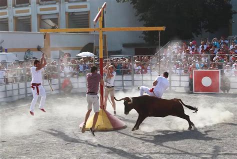 Ferias Feria de Dax 2024 dans les petites arènes place au grand