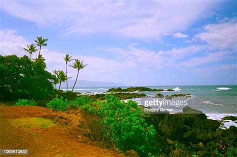 Oahu North Shore Beach Photos And Premium High Res Pictures Getty Images