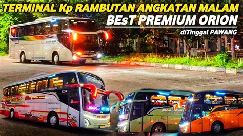 Best Premium Orion Ditinggal Pawang Mr Gaplex Pesona Malam Hari Sinar