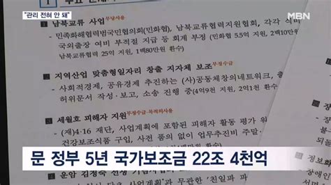 문재인 정부 민간단체 보조금 22조전혀 관리 안 돼