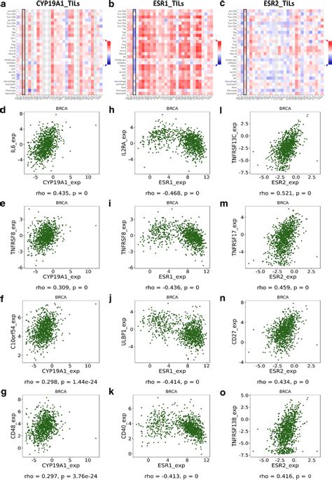 Immunological Analyses Of Cyp A Esr Axis In Breast Cancer Ac