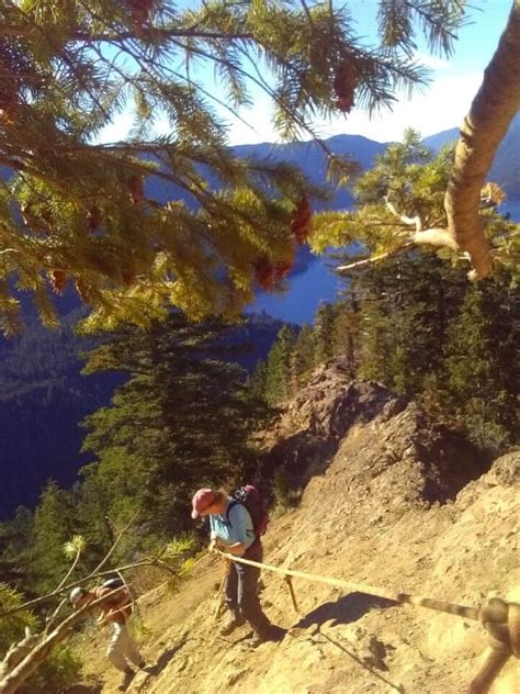 Explore Washington Hike Mount Storm King In Olympic National Park