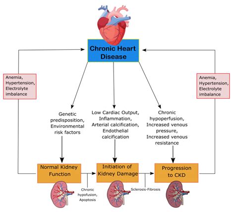 An Update On The Pathophysiology And Treatment Of Cardiorenal Syndrome