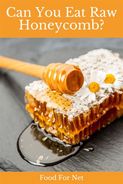 Can You Eat Raw Honeycomb? | Food For Net