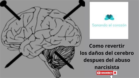 C Mo Revertir Los Da Os Del Cerebro Despu S Del Abuso Narcisista