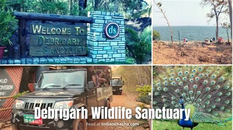 Debrigarh Wildlife Sanctuary in Odisha Tourism (2024)