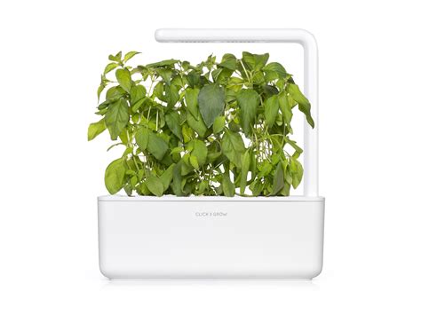 Lime Basil Plant Pods | Click & Grow