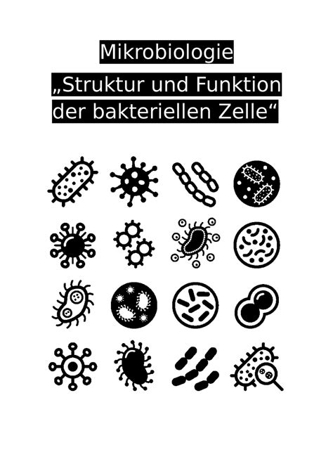 Bakterielle Zelle Z Mikrobiologie Struktur Und Funktion Der