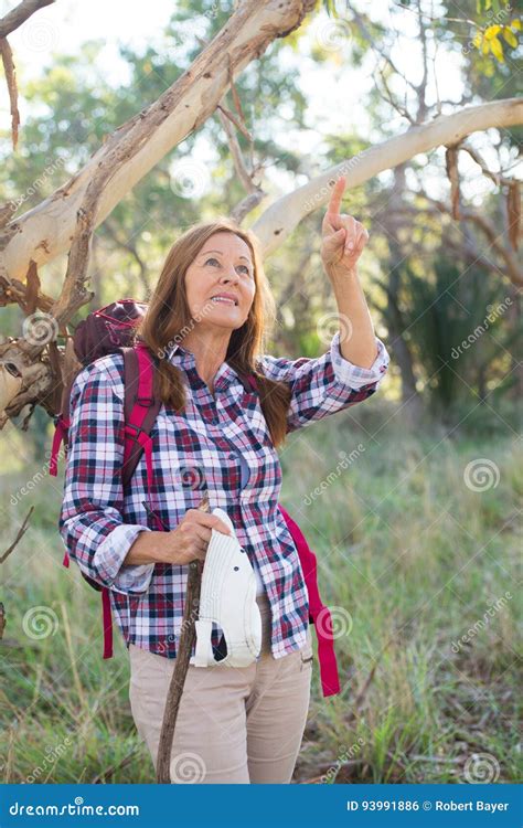 Mature Woman Hiking In Australian Bush Stock Photo Image Of Bush