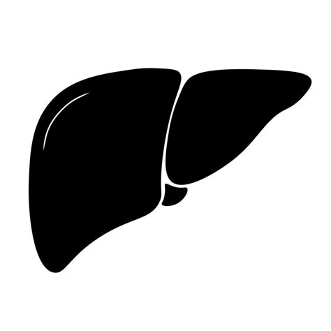 Liver icon in trendy flat style. Symbol for your web site design, logo, app, UI 22205925 Vector ...