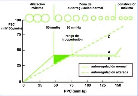 Autorregulación cerebral efectos de la presión de perfusión cerebral