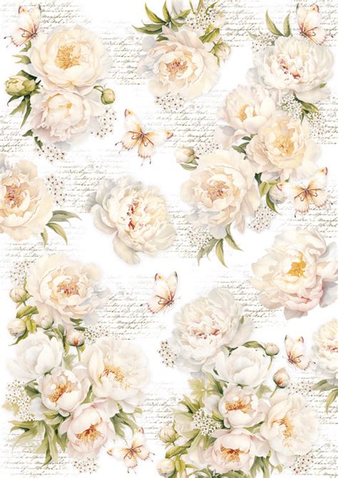 Ciao Bella Papier Vellum Collection Always Forever Patterns