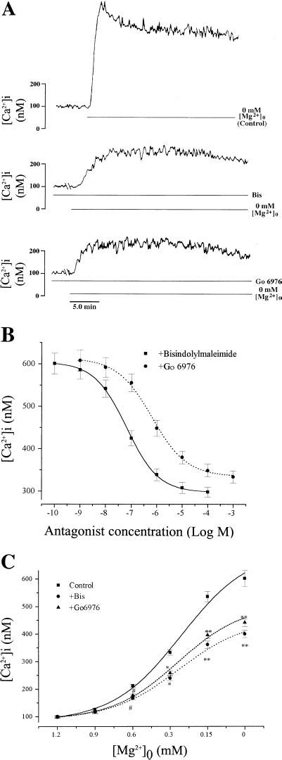 Concentration Dependent Inhibitory Effects Of PKC Antagonists On Ca 2