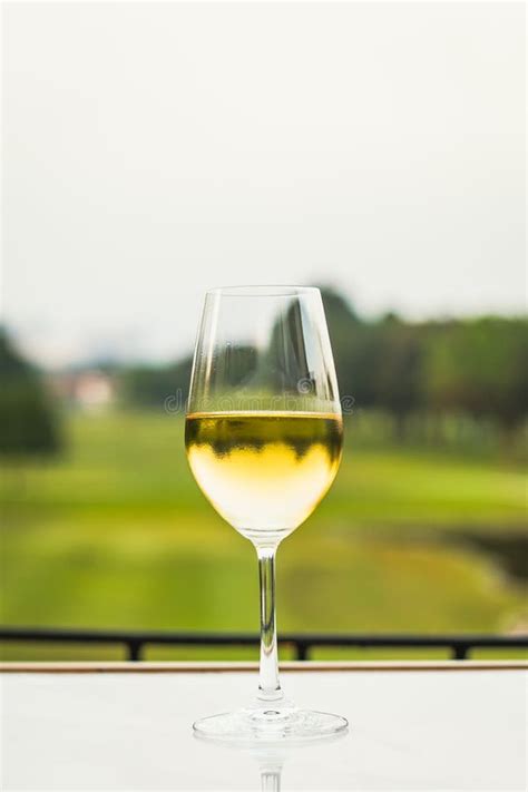 A Glass Of White Wine Chardonnay Sauvignon Blanc Riesling Wine Bar Stock Image Image Of White