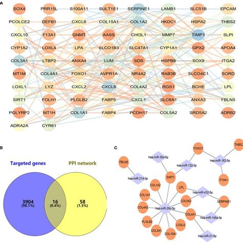 Construction Of Proteinprotein Interaction And Mirnamrna Networks