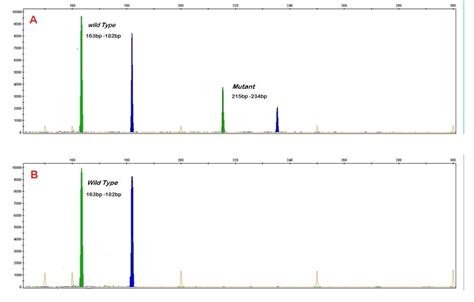 Figure From Comparison Of Delta Pcr And Conventional Fragment