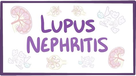 Lupus Nephritis Causes Symptoms Diagnosis Treatment Pathology Youtube