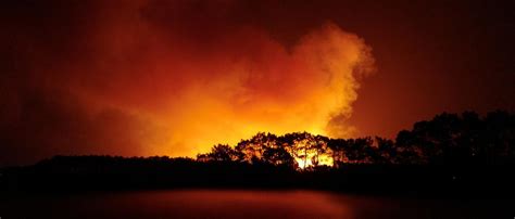 1400 Menschen in Odemira evakuiert Waldbrände toben in 15 Gebieten