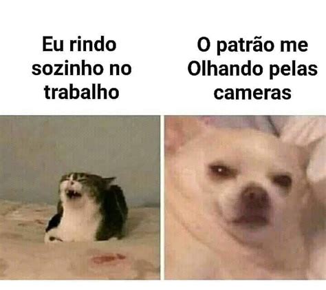 O Que Te Impede De Ter Uma Casa Dessas Memes