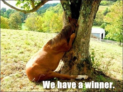 Innocent Phrases That Have A Different Meaning When You Re Naked 24 Pics