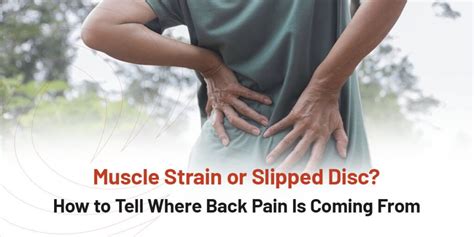 Muscle Strain Or Slipped Disc How To Tell Where Back Pain Is Coming