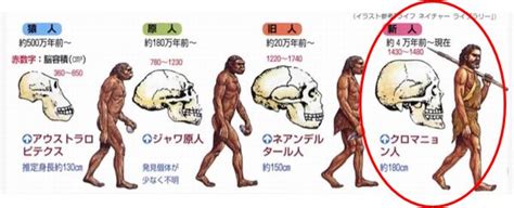 『生物の変遷と進化』第35回 新人類の出現 奈良の鹿たち