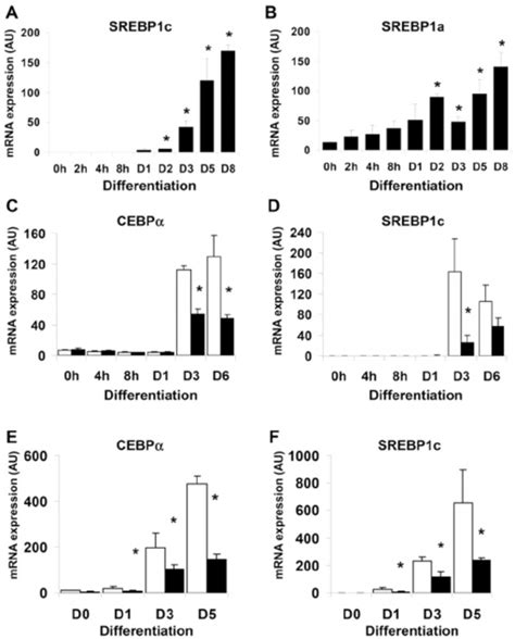 Inhibtion Of C Ebp Activity By Constitutive Lip Or Eto Expression