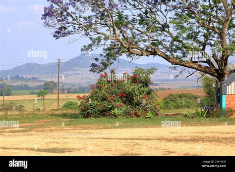 landscape scene in Swaziland kingdom of Eswatini Stock Photo - Alamy