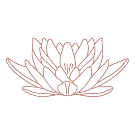 Botanical Line Art Lotus Flower PNG SVG Design For T Shirts