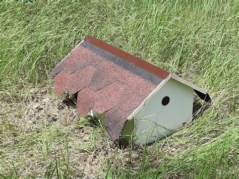 Домик для ежика своими руками (71 фото) - фото - картинки и рисунки ...