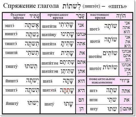 Пить - спряжение глагола в иврите Как учить глаголы иврита, глаголы ...