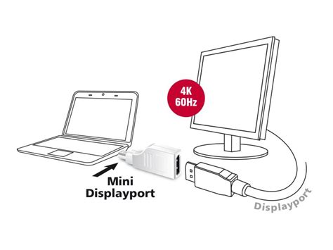 Delock Adapter Mini Displayport Displayport Gedreht Weiss Alltron