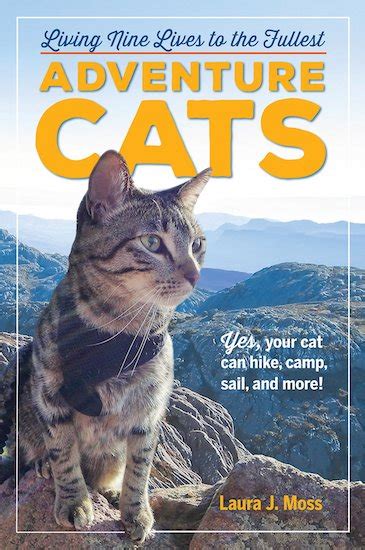 The Best Cat Behavior Books for Figuring Out Your Furry Friend