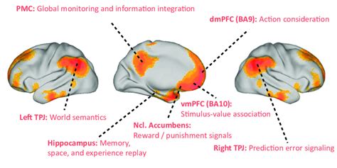 Default Mode Network Key Functions Neurobiological Overview Of The Download Scientific