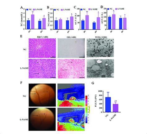 Changes Of Serum Lipid Profiles Liver Function And Hepatic