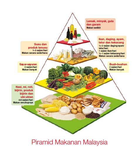 Piramid Makanan 💖kepentingan Setiap Jenis Makanan Yang Seimbang Piramid Makanan