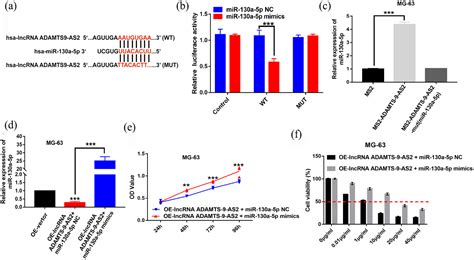 Lncrna Adamts9 As2 In Osteosarcoma Inhibits Cell Proliferation And