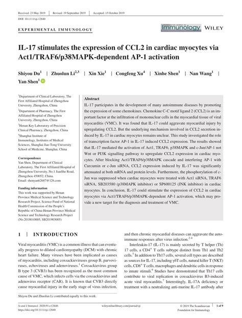 Pdf Il‐17 Stimulates The Expression Of Ccl2 In Cardiac Myocytes Via