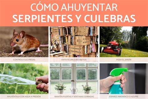 Cómo AHUYENTAR SERPIENTES y CULEBRAS