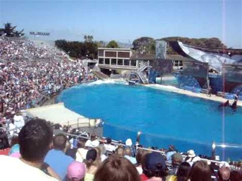 Seaworld Shamu Believe Part 6 YouTube